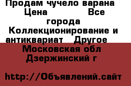 Продам чучело варана. › Цена ­ 15 000 - Все города Коллекционирование и антиквариат » Другое   . Московская обл.,Дзержинский г.
